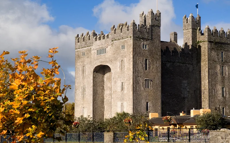 Bunratty Castle with Lunch