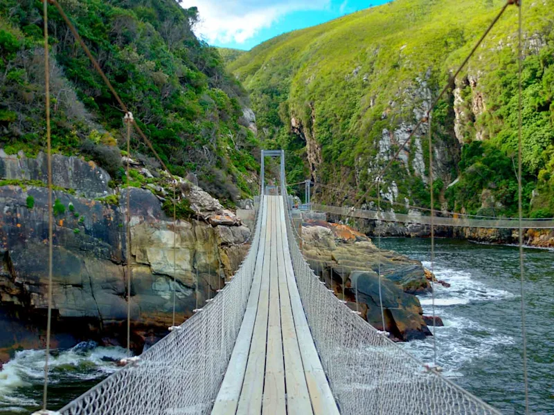 day-7-south-africa-bridge-tsitsikamma-national-park-garden-route-south-african-escape
