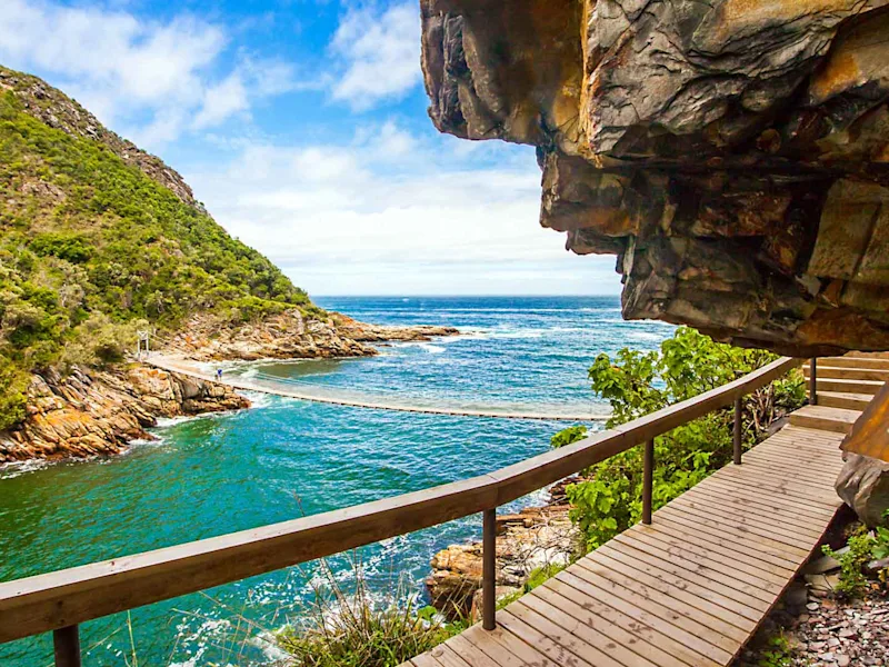 day7-tsitsikamma-national-park-chain-bridge-cape-town-and-the-garden-route-tour