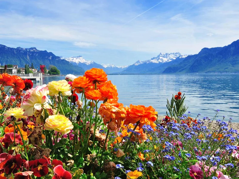 geneva-lake-ultimate-europe-day20-1