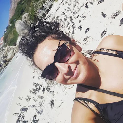 boulders-penguin-south-africa-Instagram-_helenavonkach