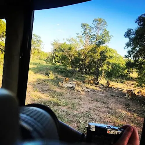 kruger-national-park-south-africa-Instagram-_ingridvdwalt