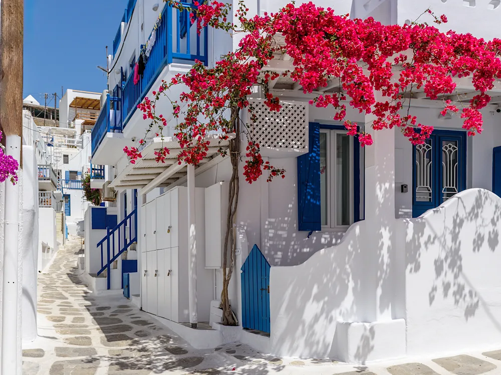 mykonos-greece-street-flowers-swiper-hero-gallery