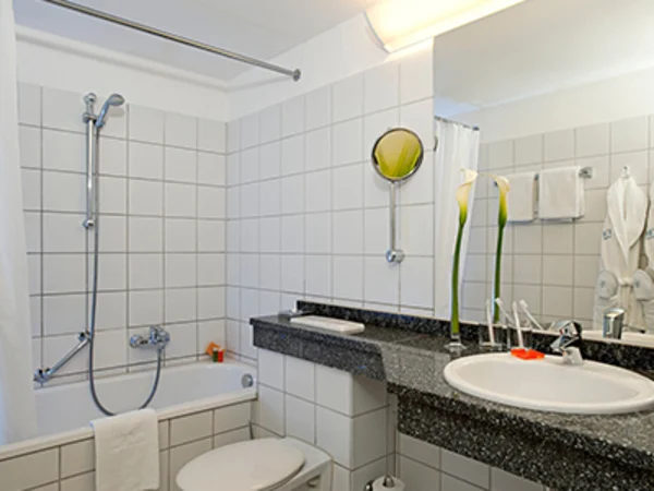 NH-hirschberg-heidelberg-bathroom