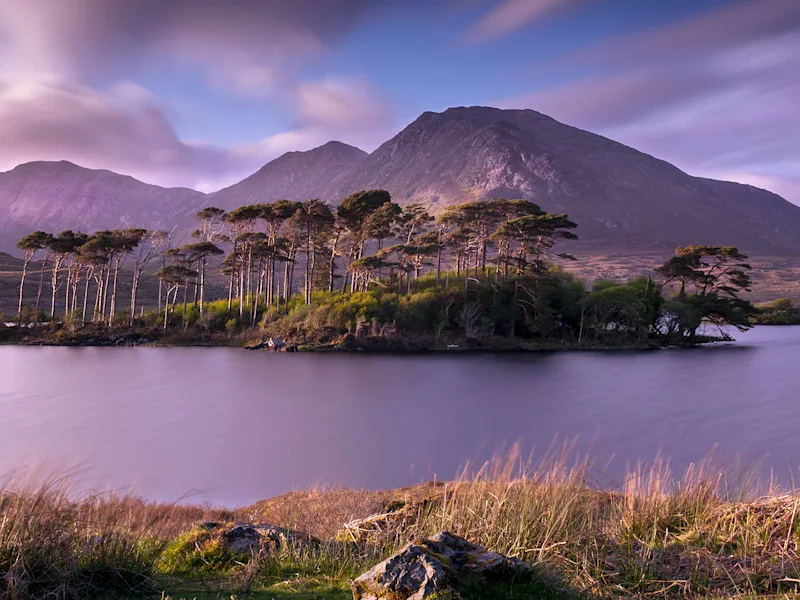 Pine-Island-Connemara-Ireland