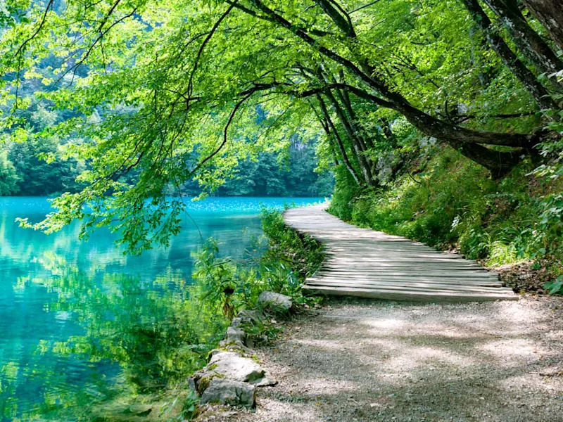 plitvice-lakes-croatia-croatian-eastern-delights-day-3