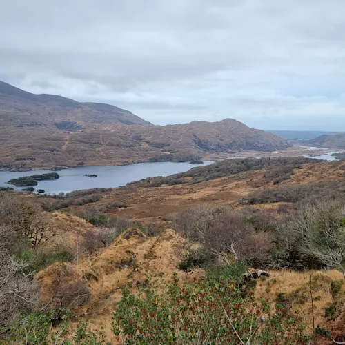 Ring-of-Kerry-scenery-instagram-_laurie_a_tms