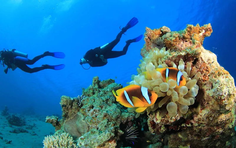scuba-diving-red-sea-egypt-optional-excursion