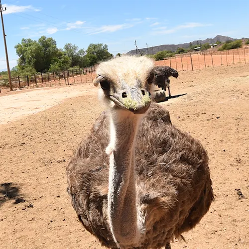 South-Africa-Tour-Expat-Explore-24