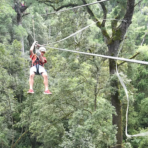 South-Africa-Tour-Expat-Explore-26