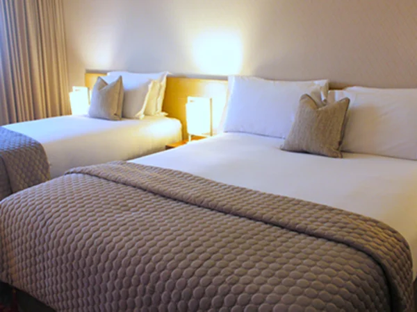 the-louis-fitzgerald-hotel-room