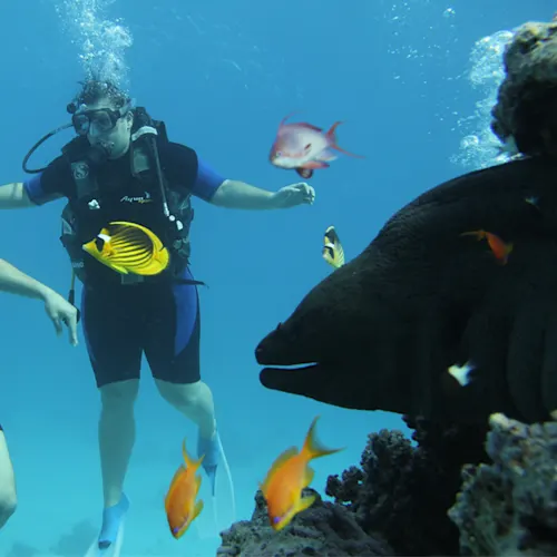 snorkeling-_ryziemacca