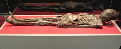 The Mummy of Zagreb